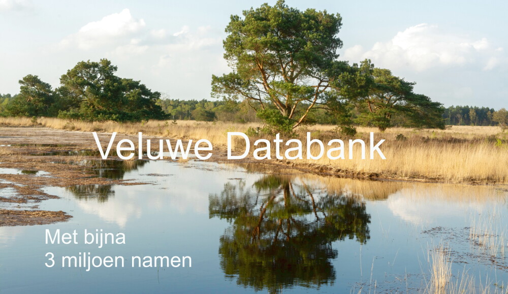 Veluwe Databank 3 miljoen.jpg