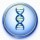 DNA