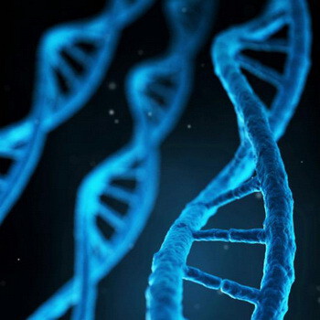 DNA 350x350.jpg