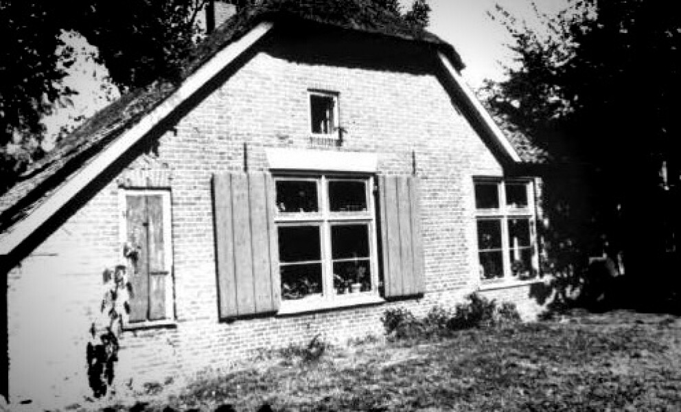 Stamboom van de(r) Krol