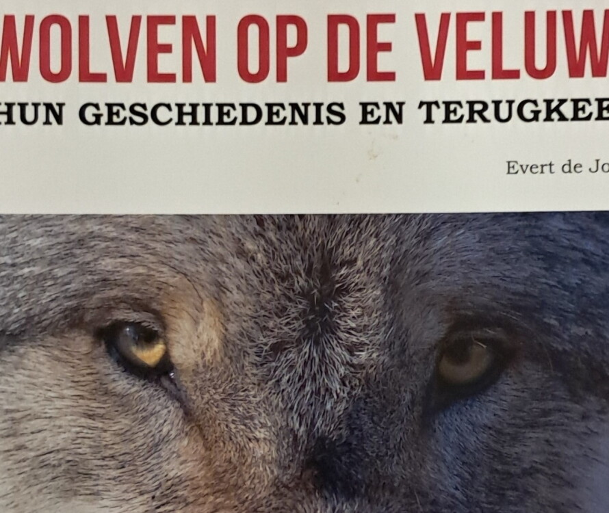 Aanvullingen bibliotheek