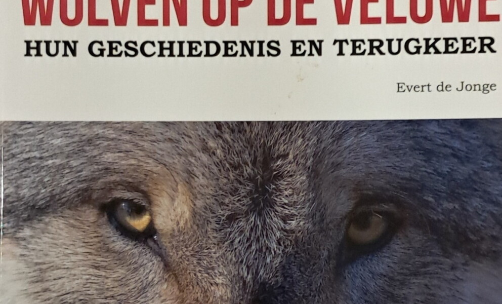 Aanvullingen bibliotheek